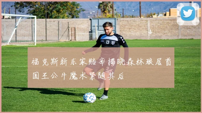 福克斯新东家赔率揭晓森林狼居首国王公牛魔术紧随其后